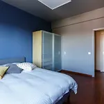 Cosy Florida